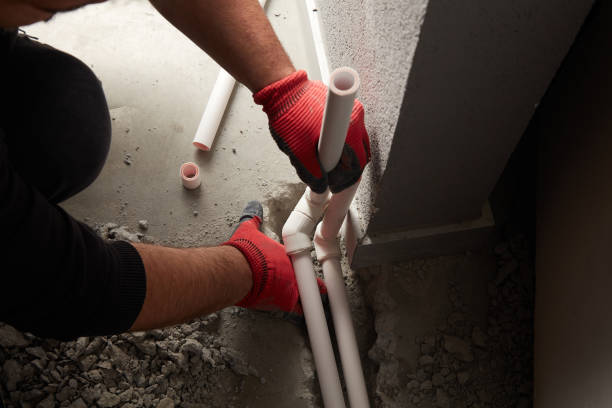 Best Local Plumber Services  in Avondale, AZ